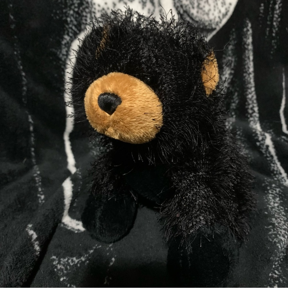 Black Bear Plushie | Webkinz (no tags)